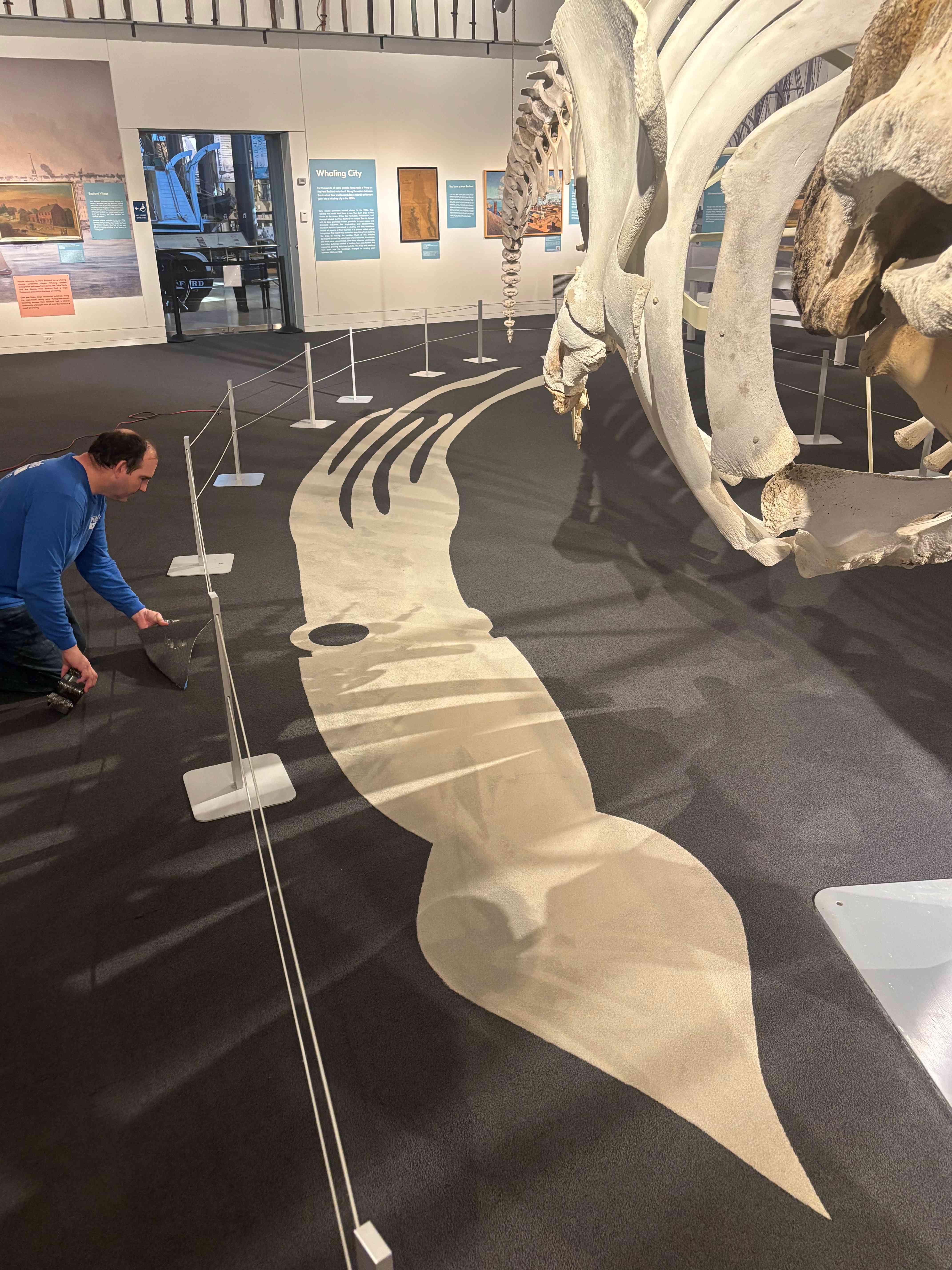 Custom whale-shaped carpet inlay beneath whale skeletons at the New Bedford Whaling Museum